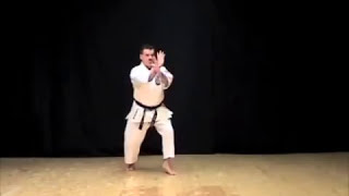 Chinto Kata of IsshinryuRyu Karate Michael Calandra [upl. by Forester187]