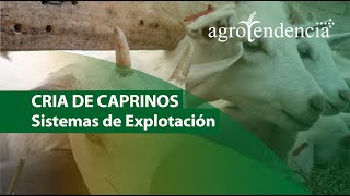 CRIA DE CAPRINOS l Sistemas de Explotación [upl. by Nirual]