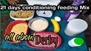 21 days conditioning feeding mix all about derby kamanokis [upl. by Hole]