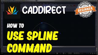 Caddirect How To Use Spline Command [upl. by Tadio963]