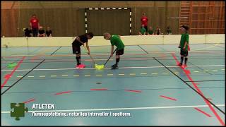 Innebandy för barn  Träning på grön nivå [upl. by Aisatana988]