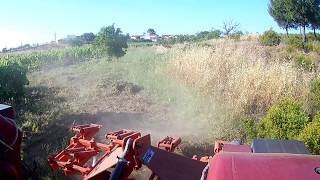 CASE IH 3230 amp ESCARIFICADOR GALUCHO work in the vineyard [upl. by Malda]