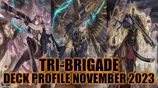 TRIBRIGADE DECK PROFILE NOVEMBER 2023 YUGIOH [upl. by Daryle]