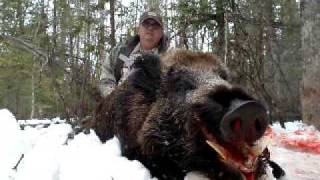 How to Hunt Boar  Michigan Boar Hunt with Handgun [upl. by Annavoeg]