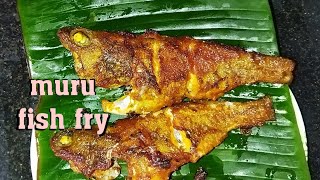 muru fish fry simple easy amptasty fish fry homemadecookigWJ [upl. by Ulick764]