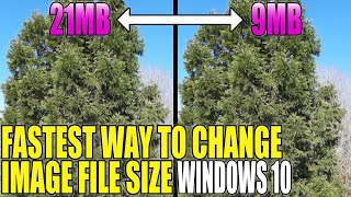 Quickest Way To Reduce Image File Size In Windows 10 Without Third Party Programs [upl. by Asil650]