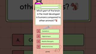 🐒👑 Animal Kingdom’s Smartest Brain Region—Do You Know It mededtrivia animalkingdom brainteaser [upl. by Dorry]