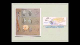 Basiskurs Neurologie Erkrankungen des PNS Teil 1314 [upl. by Tegdirb168]