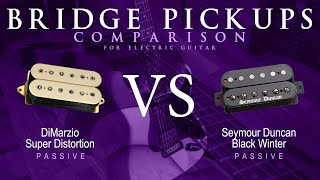 DiMarzio SUPER DISTORTION vs Seymour Duncan BLACK WINTER  Passive Bridge Guitar Pickup Comparison [upl. by Eronel885]