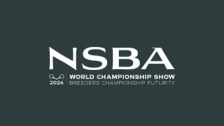 2024 NSBA World Show Saturday August 10 Mustang Arena [upl. by Latrena]