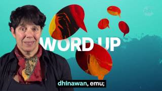 Learn words in the Gamilaraay language of NSW and Queensland [upl. by Migeon]