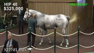 Pretty Birdie sells for 11 million at 2024 Keeneland November [upl. by Alabaster]