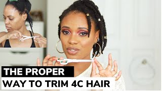 HOW TO TRIM YOUR OWN 4C HAIR Split endsTools amp Schedule Explained [upl. by Maram693]