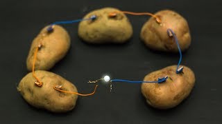 Science Experiments At Home  Potato Battery [upl. by Ullman]