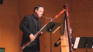 Howard Baer Introspection for Bassoon and Harp [upl. by Rosenberger625]