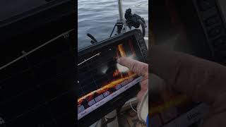 Crappie Fishing with Garmin Livescope at the lake under the bridge [upl. by Selyn]