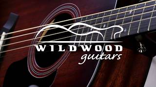 Taylor Guitars Limited Edition 326E Baritone 8String • Wildwood Guitars [upl. by Eelrahc]