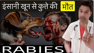 10 Days Observation Period What You Need to Know About Rabies Virus Life Cycle by Dr Anurag Prasad [upl. by Rayle]