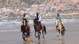 شاطئ تمراغت أكادير tamraght agadir maroc surf 2013 [upl. by Ennoved]