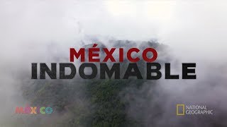 México Indomable Episodio 1 [upl. by Killie]