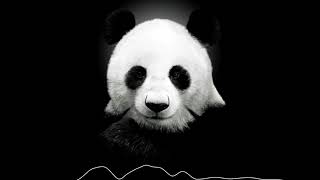 CYGO  PANDA E REMIX [upl. by Naesal]