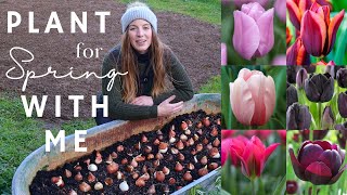 Top Tips to Plant Tulips spacing layering 🐿 protection amp more🌷Plant Spring bulbs with me [upl. by Quinta]