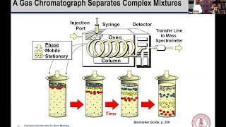 Lecture 5 Geochemical Correlation [upl. by Lanie]