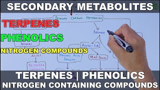 Secondary Metabolites [upl. by Lebiralc]