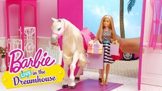 Girls Day Out  Barbie LIVE In the Dreamhouse  Barbie [upl. by Leopold168]