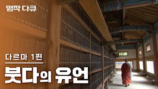 quot아난다여 슬퍼하지 말라 탄식하지 말라quot 1부 붓다의 유언  대장경 천년 특집 다르마 Dharma 4부작  KBS 2011년 방송 [upl. by Nork]