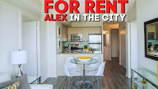 Renting In Chinas Biggest City  Alex In The City Ep14 [upl. by Possing]