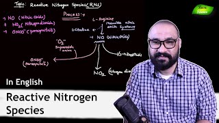 Reactive Nitrogen species  RNS  Antimicrobial Chemicals  CSIRNET Exam  Basic Science Series [upl. by Chickie552]