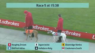 Crayford Greyhounds Races on 15th November 2024 [upl. by Haily]