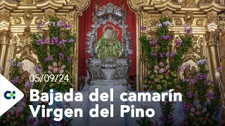 Bajada del camarín Virgen del Pino  2024 [upl. by Imtiaz313]