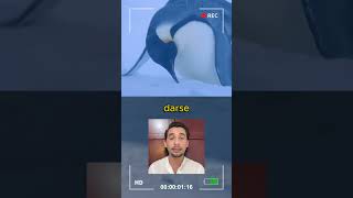 Fotografos hacen empatia por los pingüinos 🥳🤯lasmascotasdeadri pinguinos animales historiareal [upl. by Kilah]