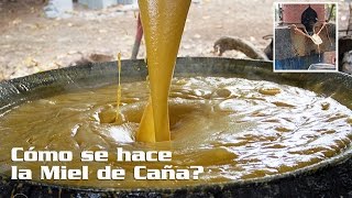 Cómo se hace la Miel de Caña Trapiche La Mariana [upl. by Chita666]