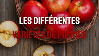 Variétés de pommes  comment bien choisir [upl. by Tarsus]