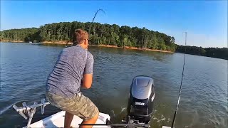 Striper Fishing Basics How to catch freshwater Stripers Lake Striped Bass [upl. by Zaragoza]