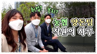 직장인 브이로그 🥩농협 양돈팀 직원의 하루는 어떠할까🐷 ㅣ 농협경제지주 Vlog🐖 [upl. by Ecaroh]