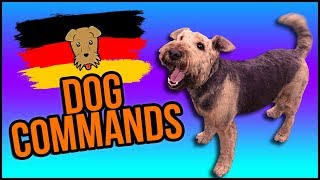 German Dog Commands 🐶🇩🇪 A Get Germanized Guide [upl. by Aihtenyc]