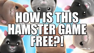 THIS HAMSTER GAME IS FREE TO PLAY  Hamster Playground [upl. by Santoro]