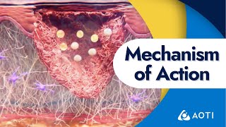 TWO2 Mechanism of Action [upl. by Nyrmac]