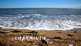 A day in Charmouth Dorset [upl. by Curt]