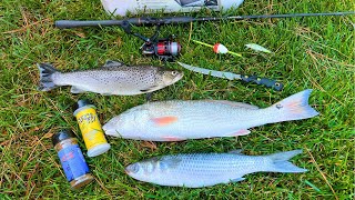 Brown TROUT Redfish and Mullet Catch Smoke and Eat [upl. by Assillem]