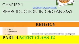 Part4 REPRODUCTION IN ORGANISMS chapter1 NCERT class 12th biology [upl. by Francisca207]