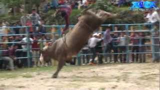 LLUVIA DE PORRAZOS EN EL JARIPEO DE ALOTEPEC MAYO 2012 [upl. by Aivitnahs]