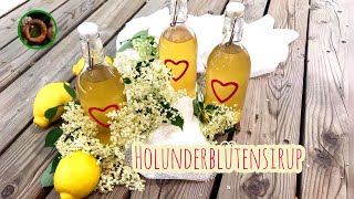 Holunderblütensirup 🌿 Selber machen 🌿 Lecker und schnell [upl. by Enined]