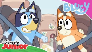 🚗 Przejażdżka z tatą  Blue  Disney Junior Polska [upl. by Fancie]