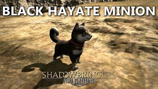 FFXIV Black Hayate Minion [upl. by Talley]