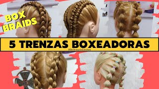 5 Diferentes Maneras de Hacer Trenzas Boxeadoras  Different Ways to do Box Braids [upl. by Groot722]